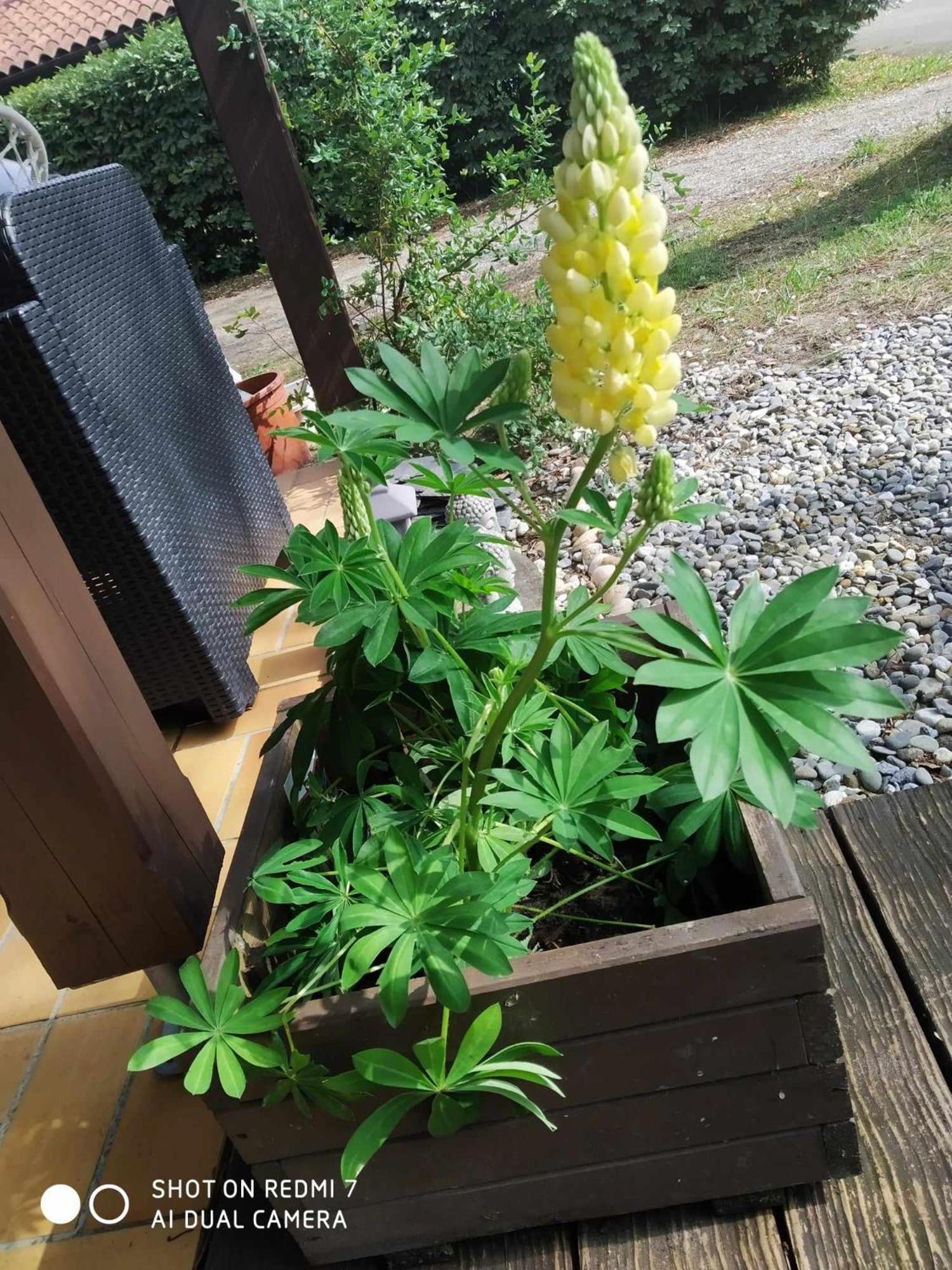 Chalet Camping Les Vignes Lit-et-Mixe Esterno foto